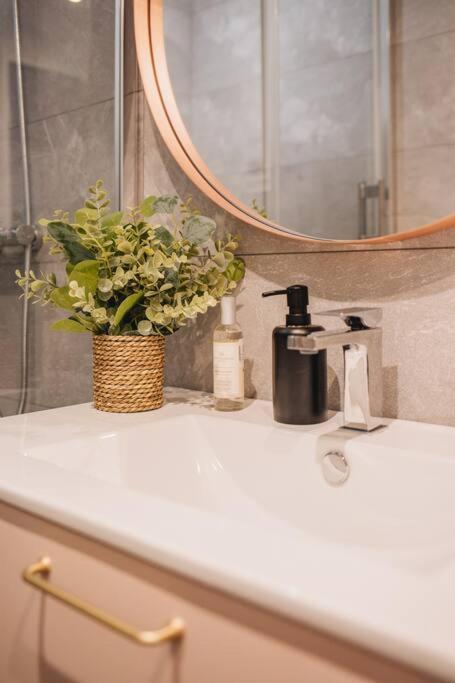 Appartement La Vie en Rose - Luxe, calme&hypercentre - 3* à Annecy Extérieur photo